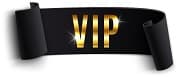 VIP transfer services